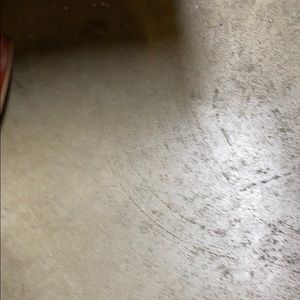 Meet your Posher, Tanya